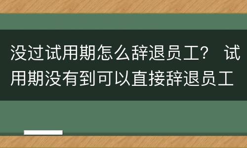 没过试用期怎么辞退员工？ 试用期没有到可以直接辞退员工吗