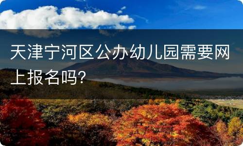 天津宁河区公办幼儿园需要网上报名吗？