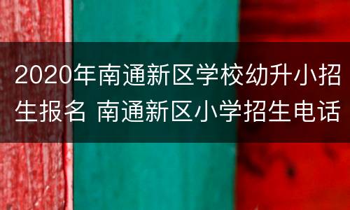 2020年南通新区学校幼升小招生报名 南通新区小学招生电话