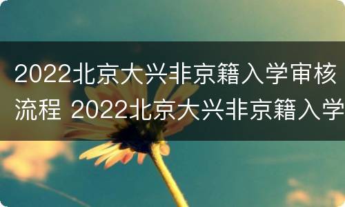 2022北京大兴非京籍入学审核流程 2022北京大兴非京籍入学审核流程图