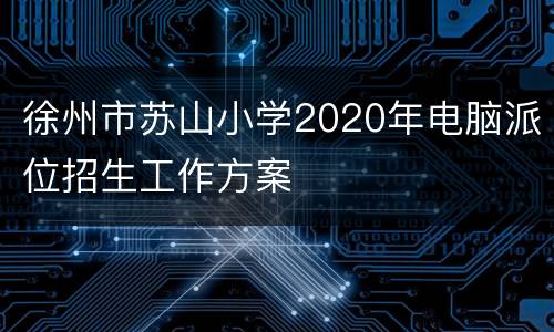 徐州市苏山小学2020年电脑派位招生工作方案