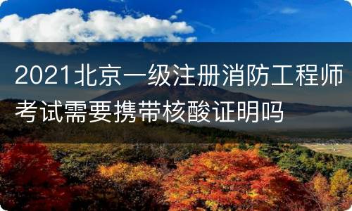 2021北京一级注册消防工程师考试需要携带核酸证明吗