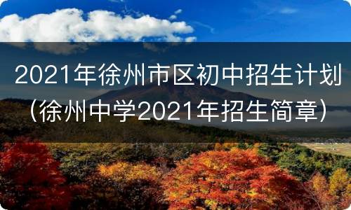 2021年徐州市区初中招生计划（徐州中学2021年招生简章）