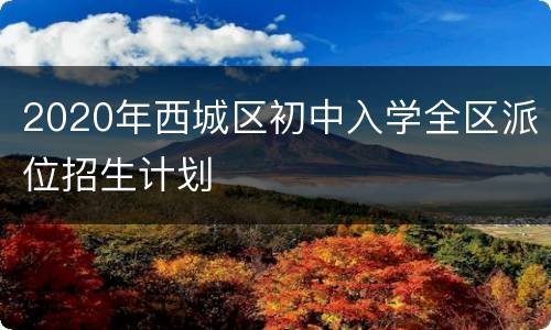 2020年西城区初中入学全区派位招生计划