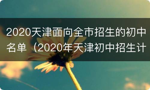 2020天津面向全市招生的初中名单（2020年天津初中招生计划）