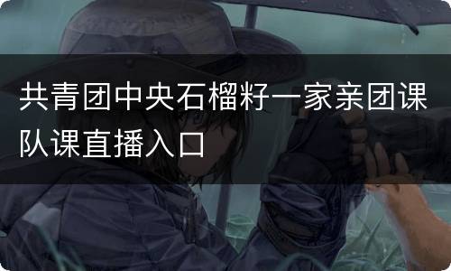 共青团中央石榴籽一家亲团课队课直播入口