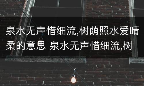 泉水无声惜细流,树荫照水爱晴柔的意思 泉水无声惜细流,树荫照水爱晴柔的意思是什么