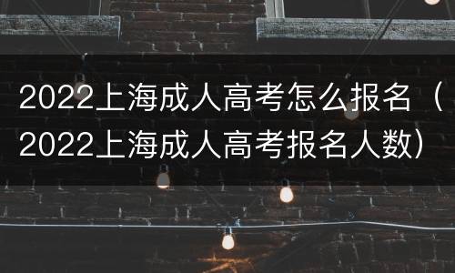 2022上海成人高考怎么报名（2022上海成人高考报名人数）