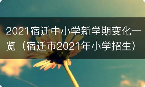 2021宿迁中小学新学期变化一览（宿迁市2021年小学招生）