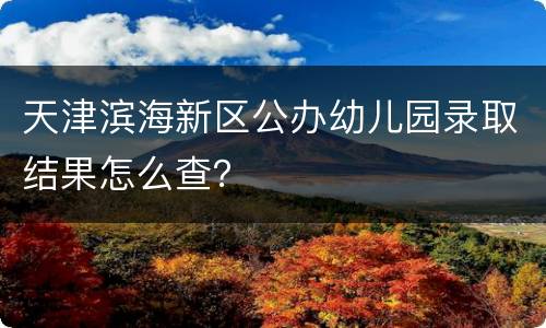 天津滨海新区公办幼儿园录取结果怎么查？