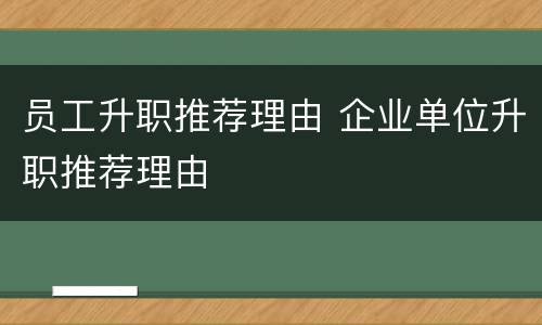 员工升职推荐理由 企业单位升职推荐理由