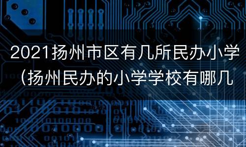 2021扬州市区有几所民办小学（扬州民办的小学学校有哪几所?）