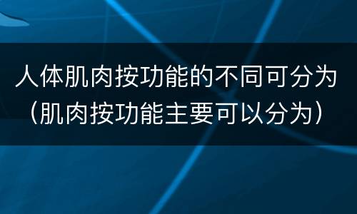 人体肌肉按功能的不同可分为（肌肉按功能主要可以分为）