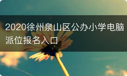 2020徐州泉山区公办小学电脑派位报名入口