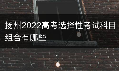 扬州2022高考选择性考试科目组合有哪些