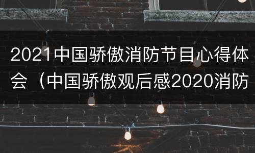 2021中国骄傲消防节目心得体会（中国骄傲观后感2020消防）