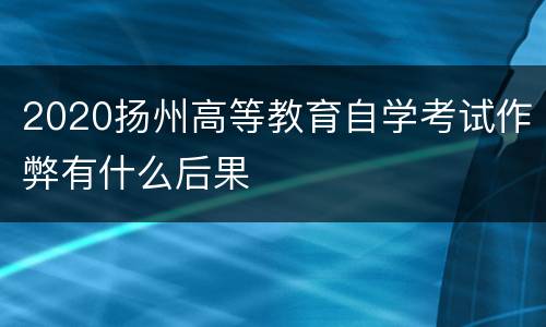 2020扬州高等教育自学考试作弊有什么后果