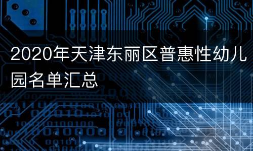 2020年天津东丽区普惠性幼儿园名单汇总