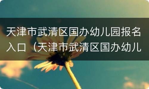 天津市武清区国办幼儿园报名入口（天津市武清区国办幼儿园报名入口在哪）