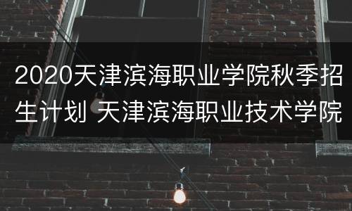 2020天津滨海职业学院秋季招生计划 天津滨海职业技术学院招生