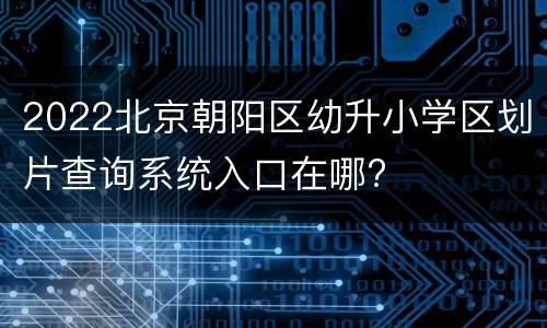 2022北京朝阳区幼升小学区划片查询系统入口在哪?