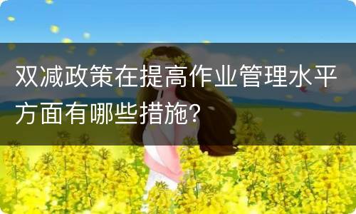 双减政策在提高作业管理水平方面有哪些措施？