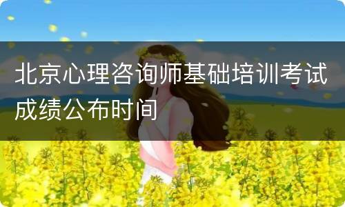 北京心理咨询师基础培训考试成绩公布时间