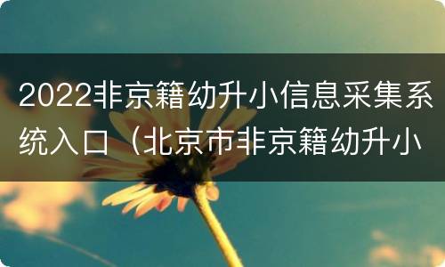 2022非京籍幼升小信息采集系统入口（北京市非京籍幼升小审核平台）