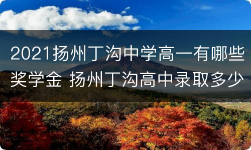 2021扬州丁沟中学高一有哪些奖学金 扬州丁沟高中录取多少分