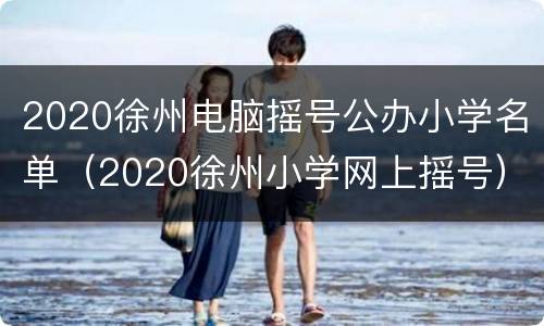 2020徐州电脑摇号公办小学名单（2020徐州小学网上摇号）