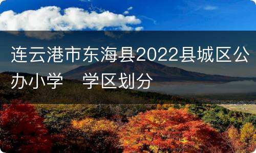 连云港市东海县2022县城区公办小学​学区划分