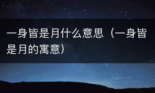 一身皆是月什么意思（一身皆是月的寓意）