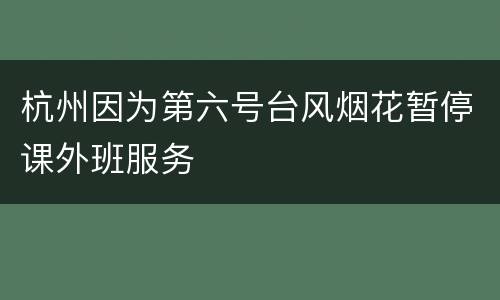 杭州因为第六号台风烟花暂停课外班服务