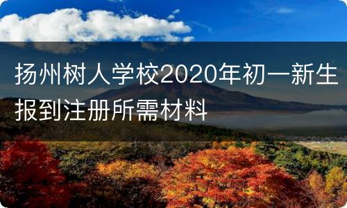 扬州树人学校2020年初一新生报到注册所需材料