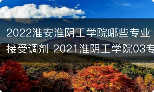 2022淮安淮阴工学院哪些专业接受调剂 2021淮阴工学院03专业组