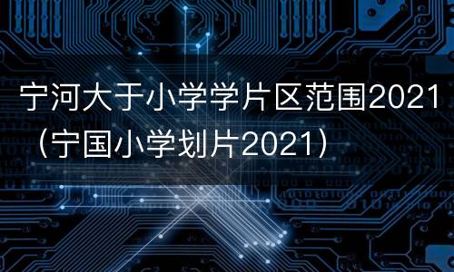 宁河大于小学学片区范围2021（宁国小学划片2021）