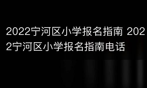 2022宁河区小学报名指南 2022宁河区小学报名指南电话