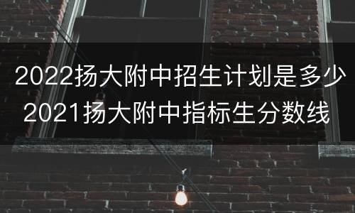 2022扬大附中招生计划是多少 2021扬大附中指标生分数线