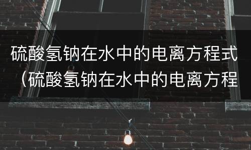 硫酸氢钠在水中的电离方程式（硫酸氢钠在水中的电离方程式是可逆的吗）