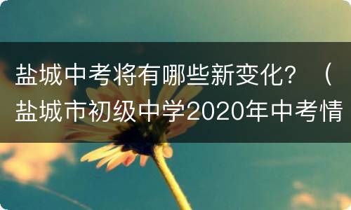 盐城中考将有哪些新变化？（盐城市初级中学2020年中考情况）