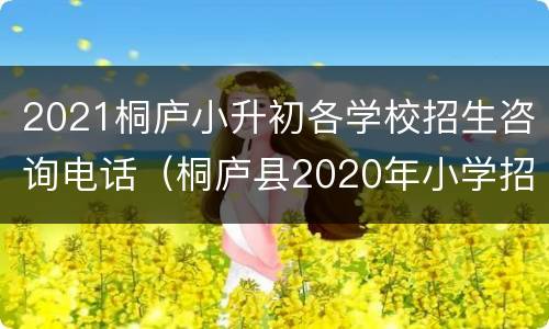 2021桐庐小升初各学校招生咨询电话（桐庐县2020年小学招生）