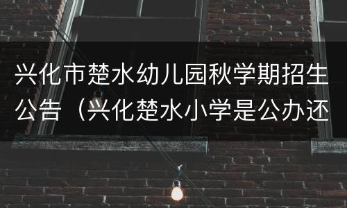 兴化市楚水幼儿园秋学期招生公告（兴化楚水小学是公办还是民办）