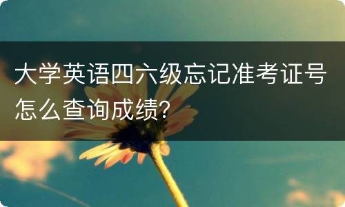 大学英语四六级忘记准考证号怎么查询成绩？