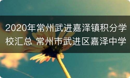 2020年常州武进嘉泽镇积分学校汇总 常州市武进区嘉泽中学