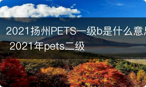 2021扬州PETS一级b是什么意思 2021年pets二级