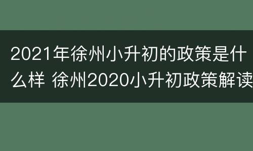 2021年徐州小升初的政策是什么样 徐州2020小升初政策解读