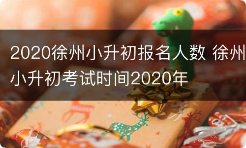 2020徐州小升初报名人数 徐州小升初考试时间2020年