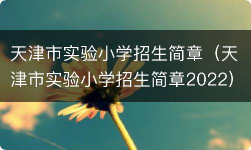 天津市实验小学招生简章（天津市实验小学招生简章2022）