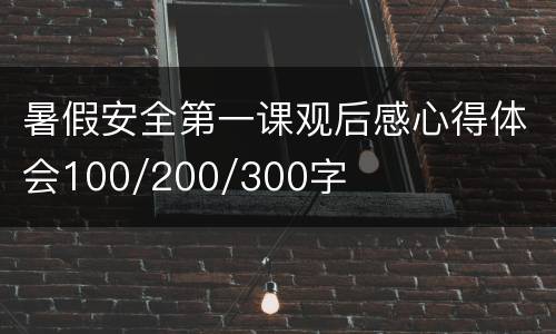 暑假安全第一课观后感心得体会100/200/300字