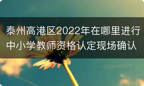 泰州高港区2022年在哪里进行中小学教师资格认定现场确认？